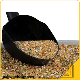 دون ریز پژاوند