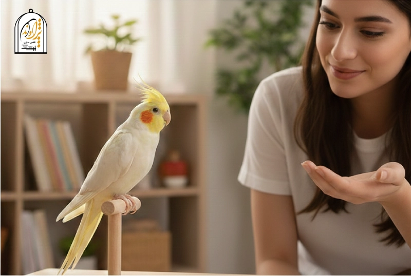 اسم برای عروس هلندی سخنگو