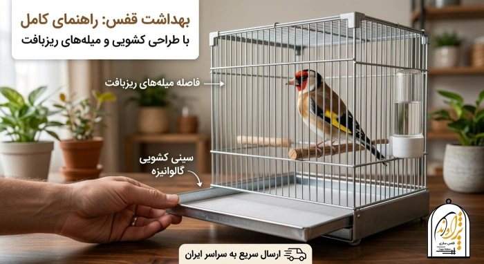 آموزش بهداشت قفس سهره