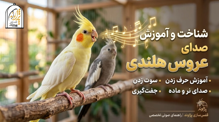 صدای عروس هلندی
